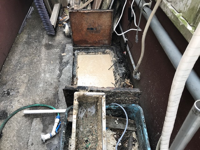 グリストラップ清掃