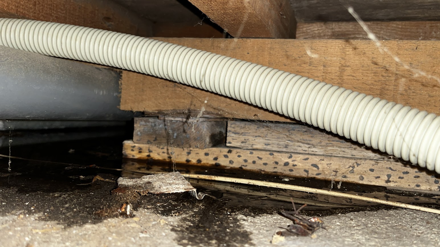 漏水調査で水漏れしている場所発見