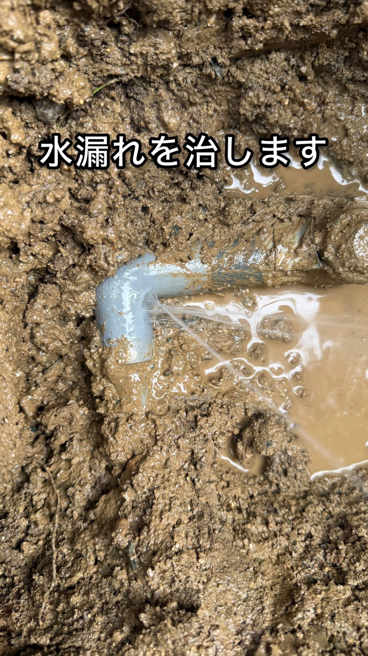 漏水調査見つけた
