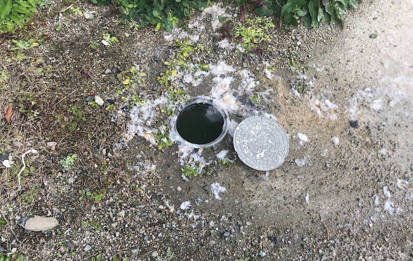 汚水管からの排水溢れ詰まりの原因は