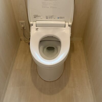 トイレの詰まり