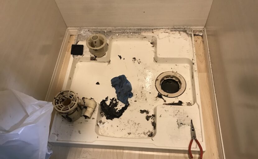 洗濯排水溝の詰まり